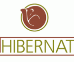 nhibernate